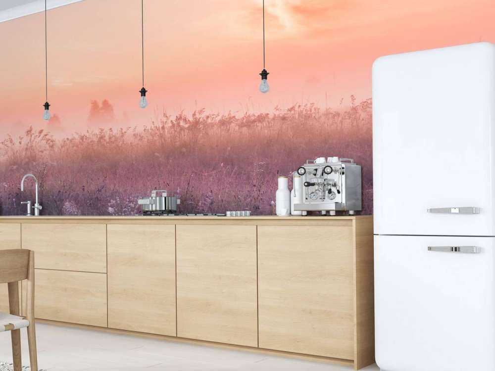 Pole z poranną mgłą