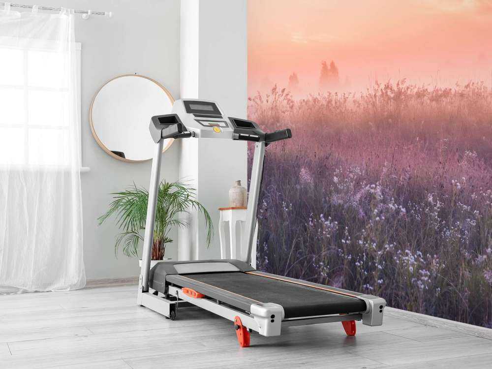 Pole z poranną mgłą