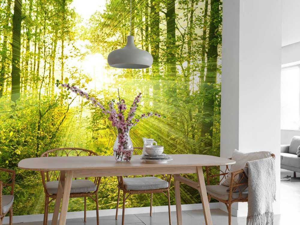 Słońce w zielonym lesie