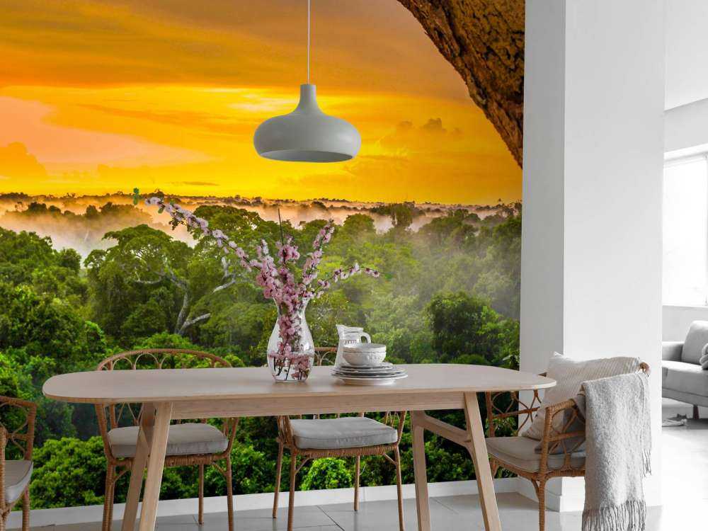 Las deszczowy w Brazylii