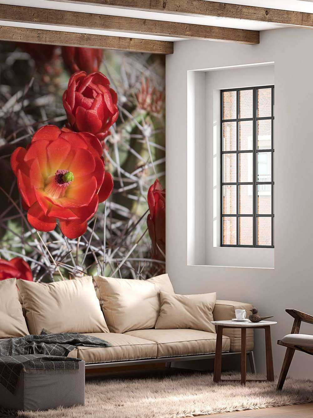 Czerwone kwiaty kaktusa