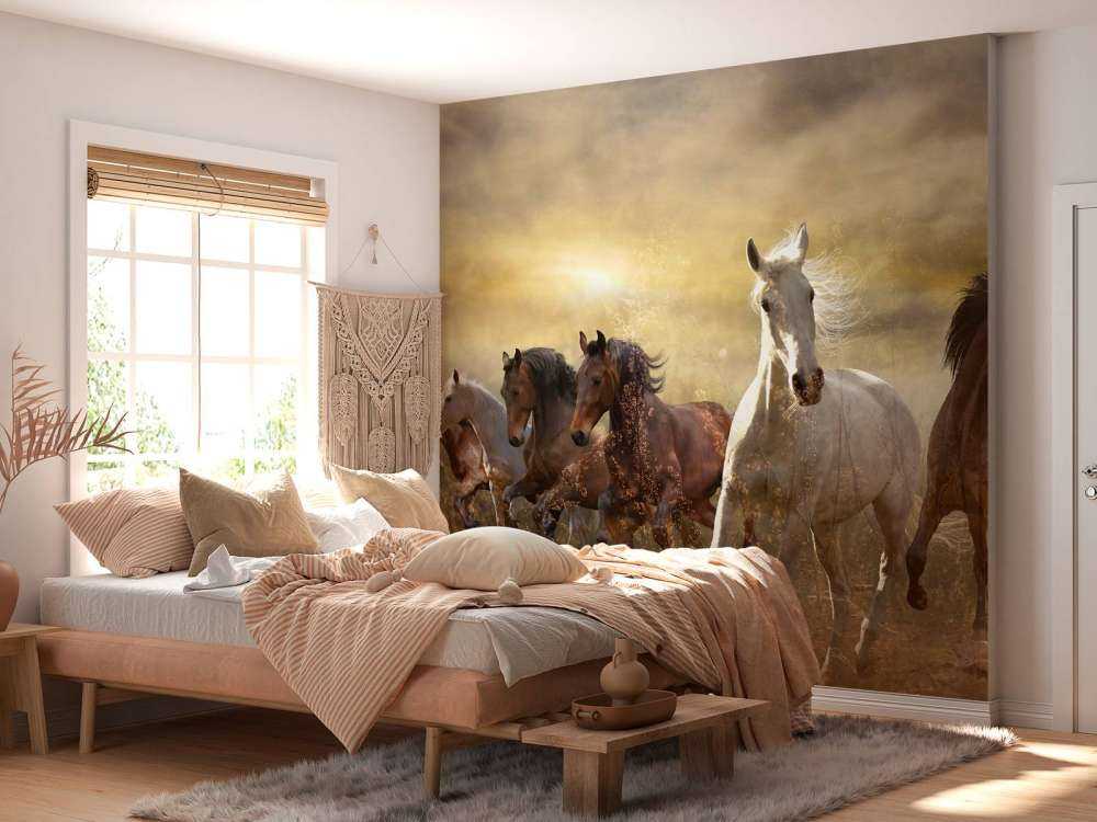 Konie galopujące o zachodzie słońca