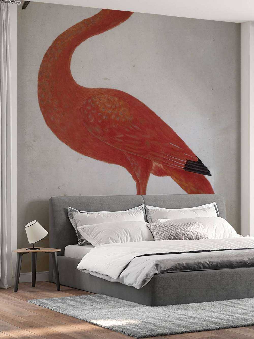 Czerwony Ibis z jajkiem