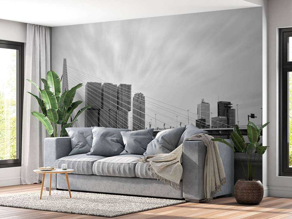 Mostek Erasmusa czarno-biały 