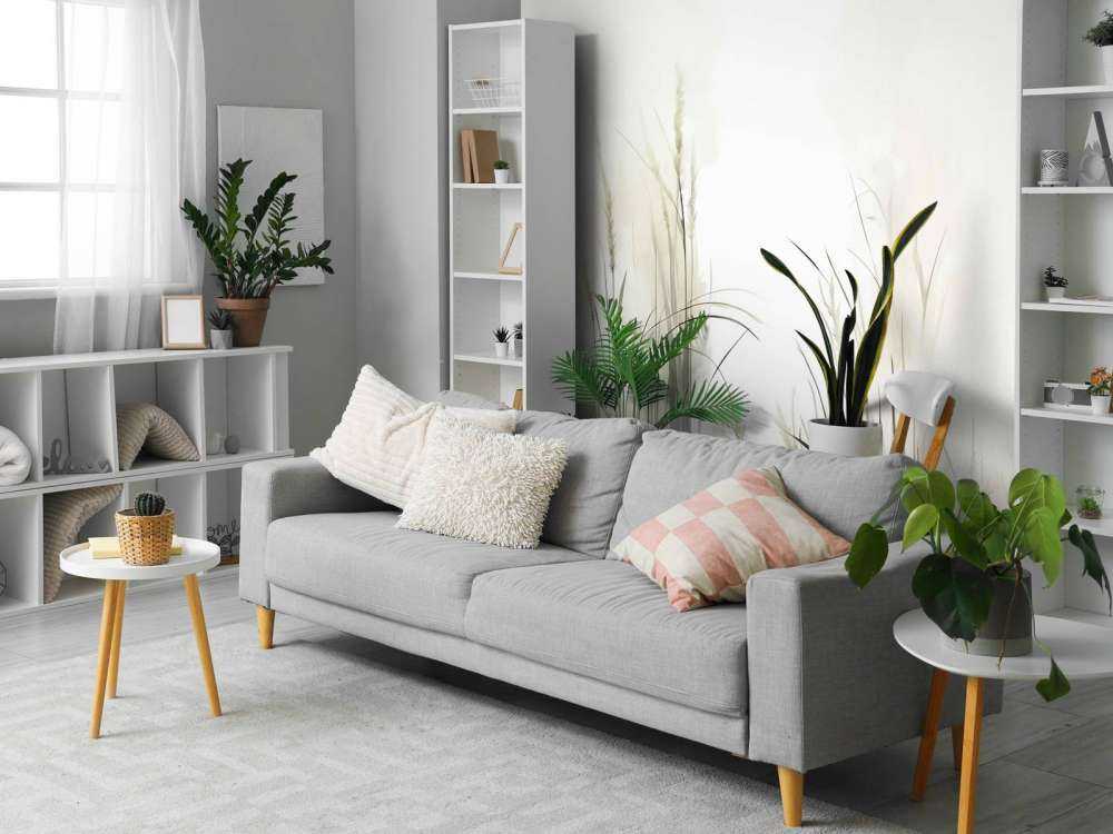 Nastrój Natury Miękka Zieleń