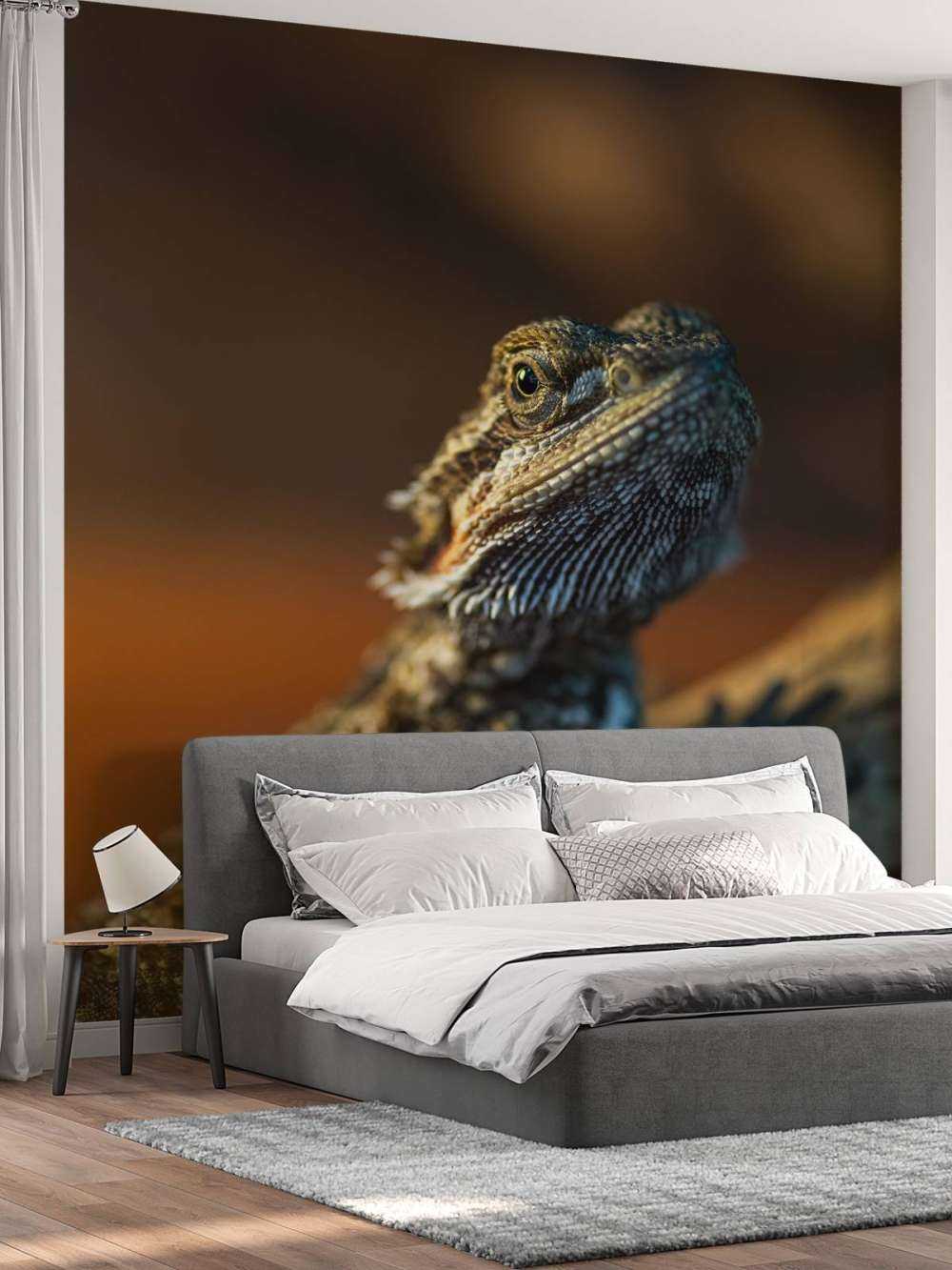 Kameleon w zbliżeniu