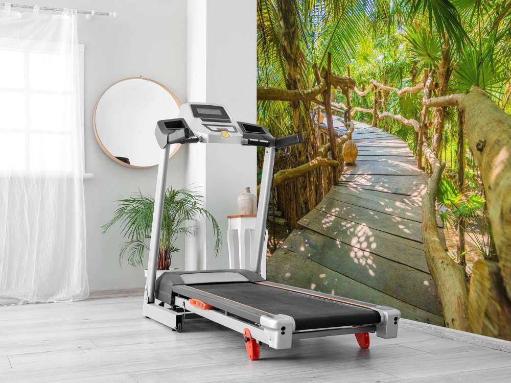 Most w tropikalnej dżungli