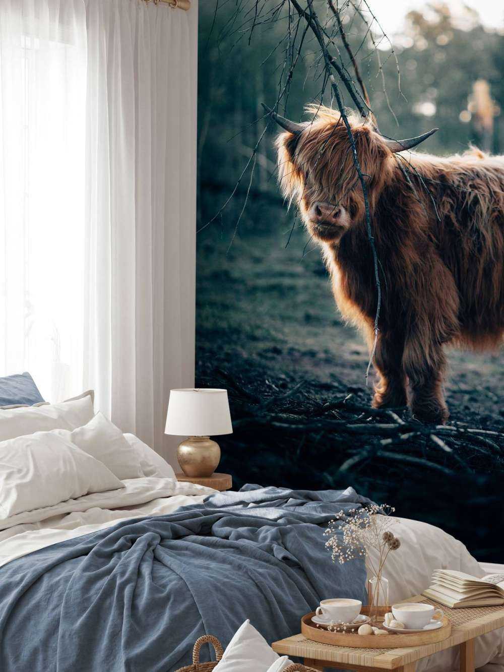 Szkocki wyżyn na skraju lasu