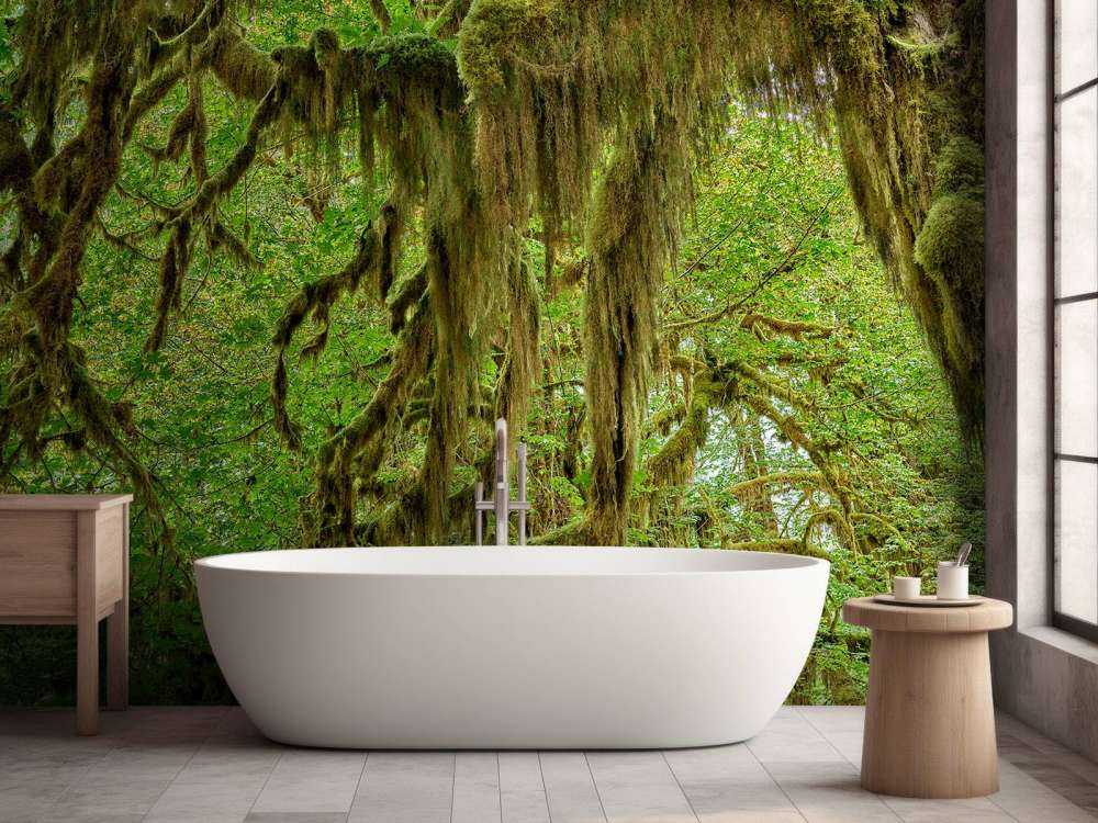 Mchy na gałęziach drzew