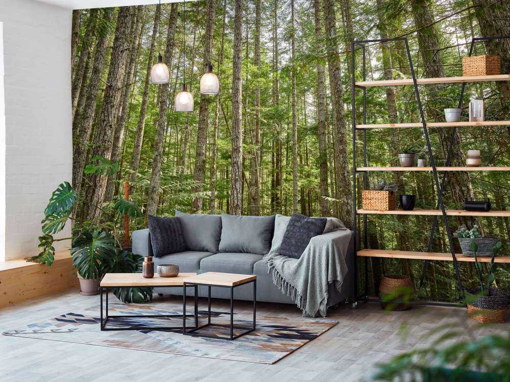 Cienkie drzewa w lesie