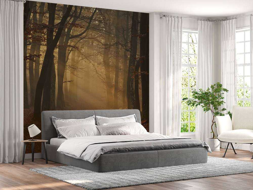 Tajemniczy jesienny las