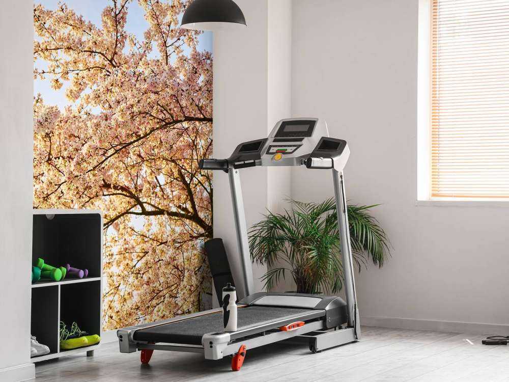 Gałąź kwitnąca w rozkwicie