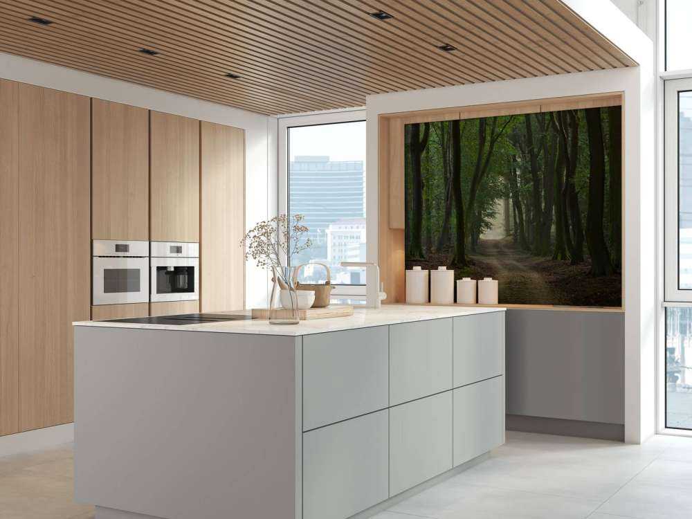 Droga piaskowa w lesie