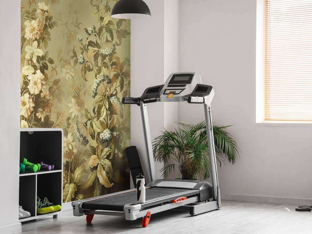 Vintage oliwkowa clematis