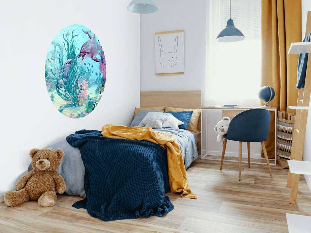 Hide And Seek Dolphins