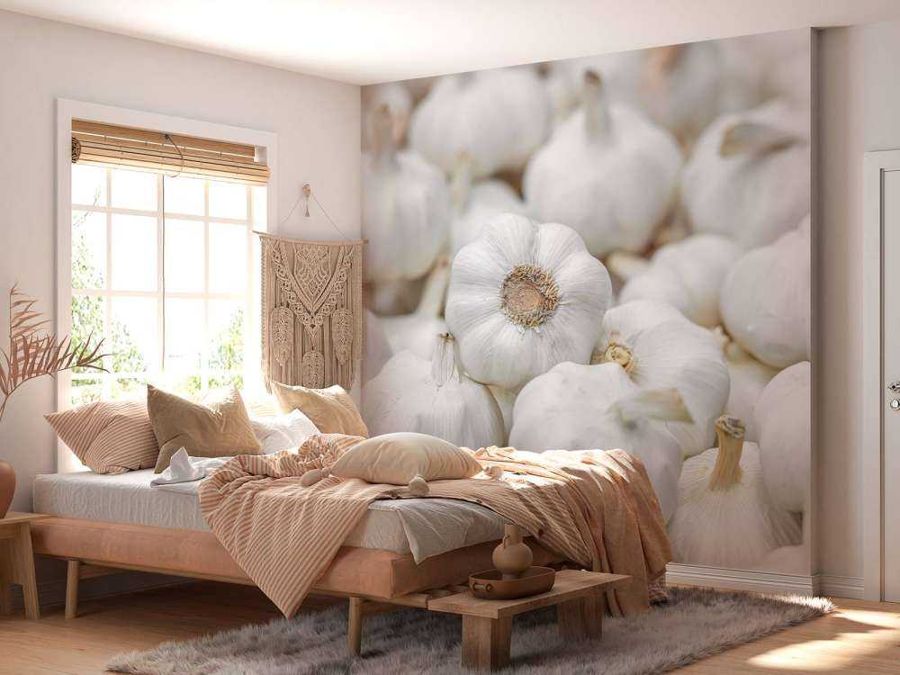 Czosnek w zbliżeniu