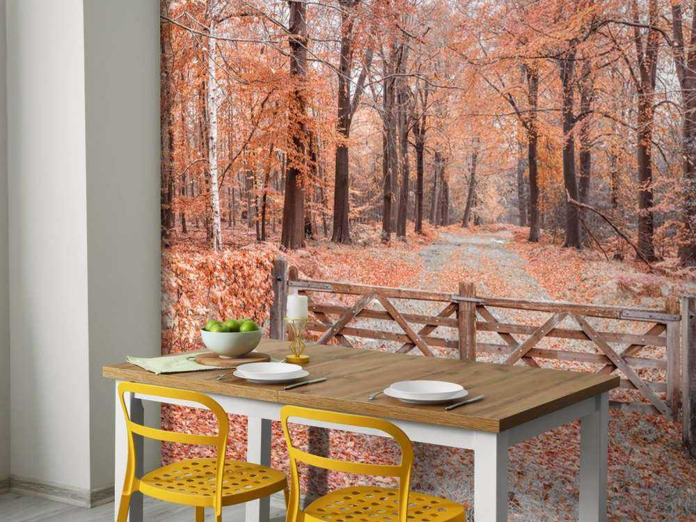 Przejście do jesiennego lasu