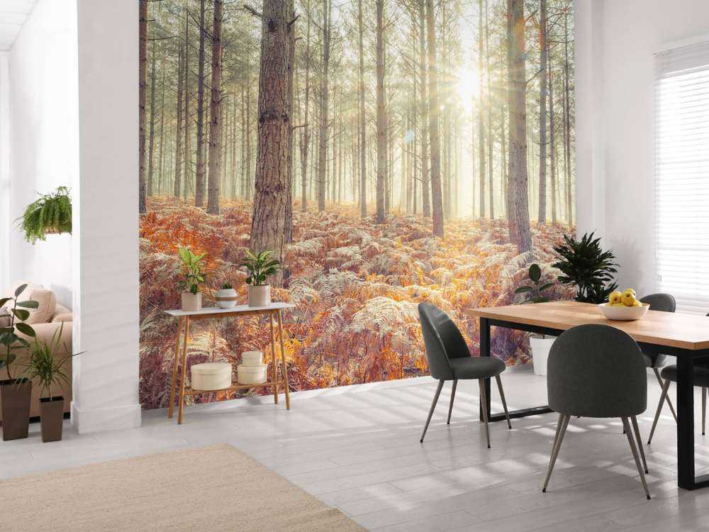 Promienie słońca przez zimne drzewa