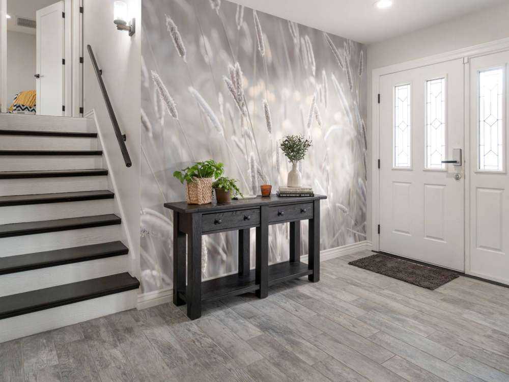 Zbliżenie na łąkę