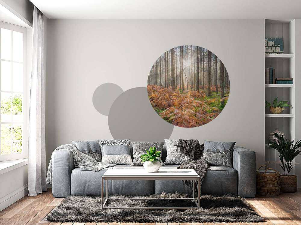 Las podczas wschodu słońca