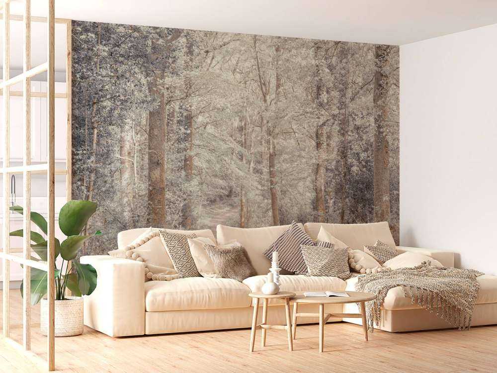 Ścieżka przez zielony las