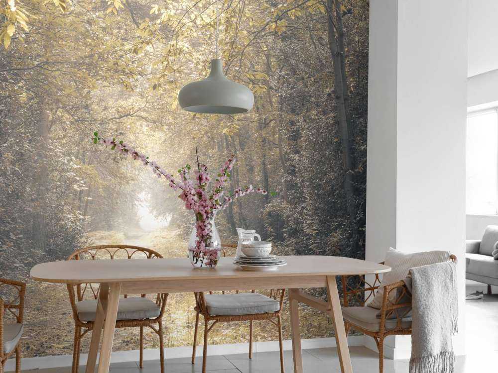 Ścieżka przez opuszczony las