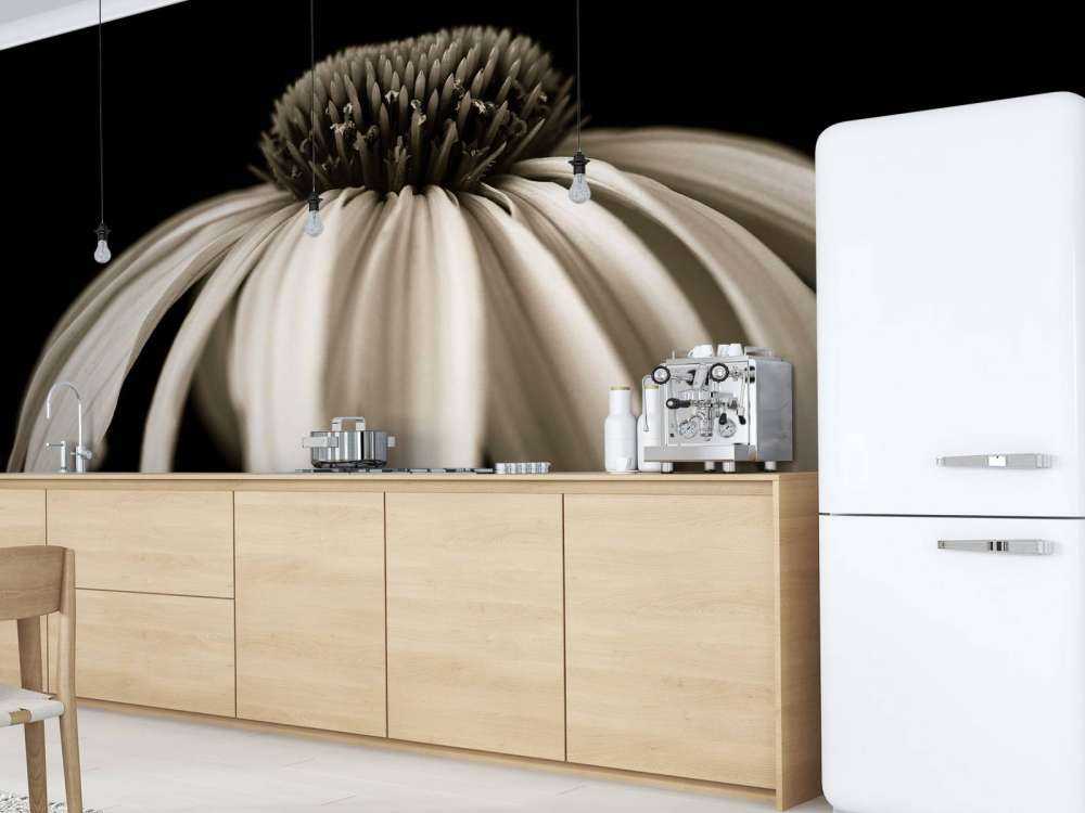 Zbliżenie na kwiat stożka