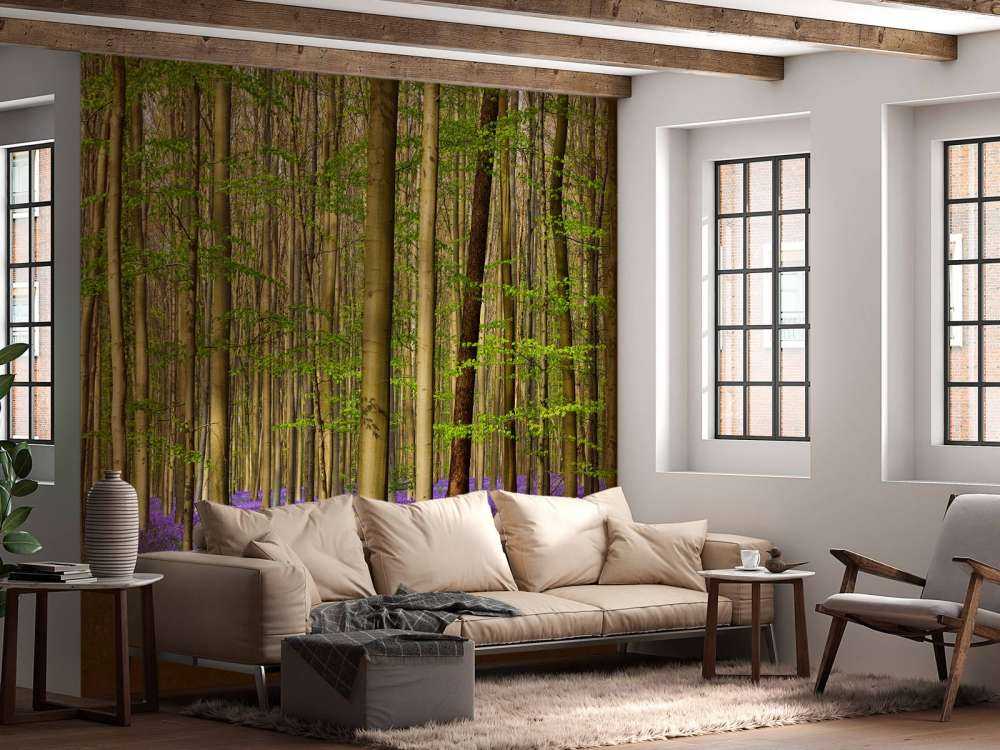 Las z hiacyntami leśnymi