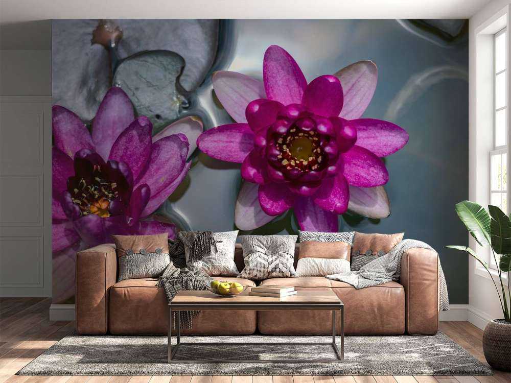 Różowy kwiat lotosu w wodzie