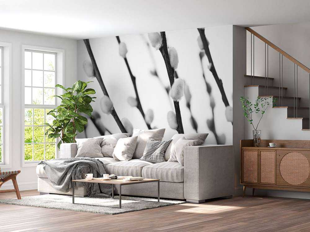 Wierzba czarna i biała