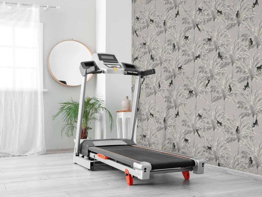 Tropikalne małpy - szary