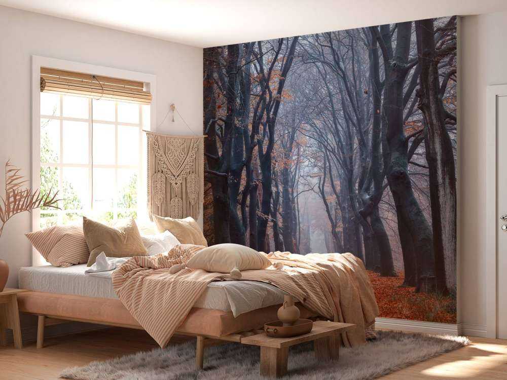 Leśna ścieżka z liśćmi