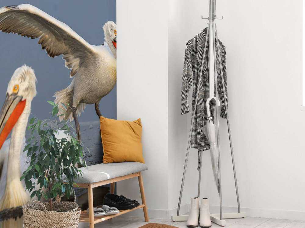 pelikan dalmatyński