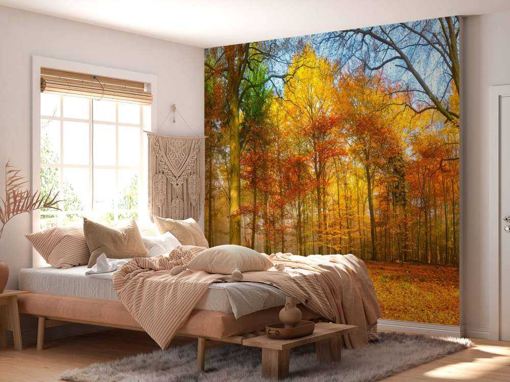 Kolorowa panorama lasu