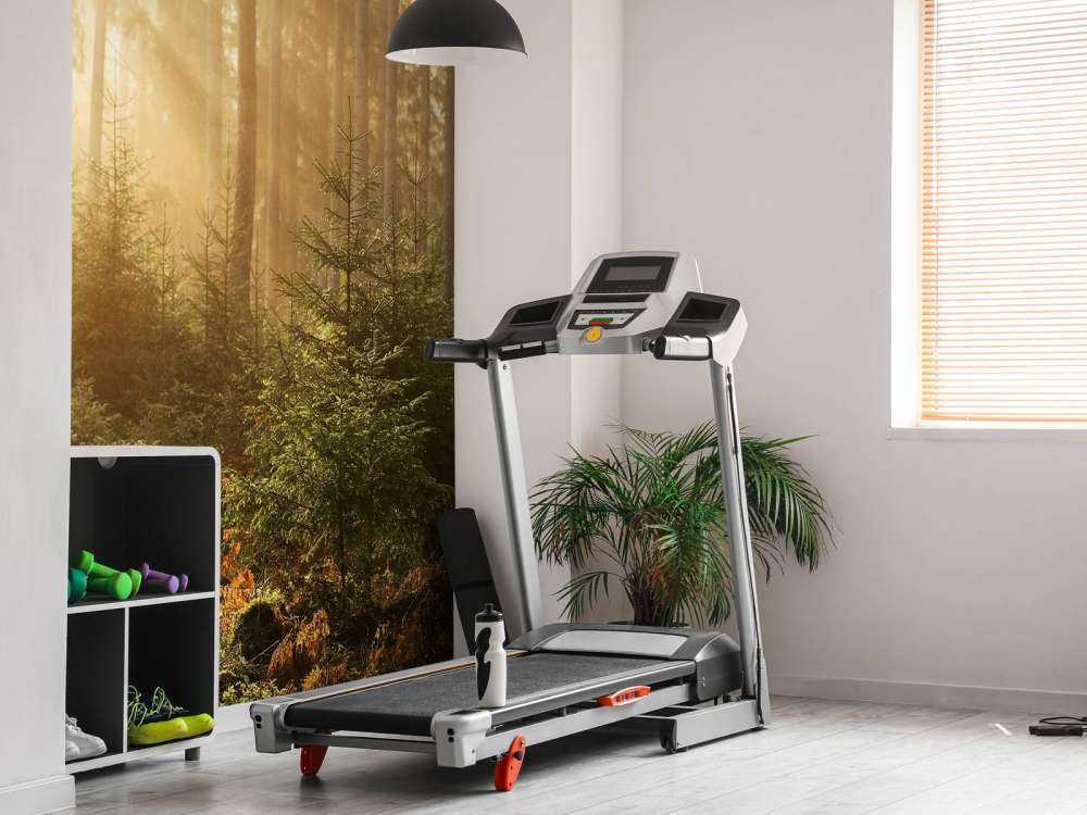 Promienie słońca przez las