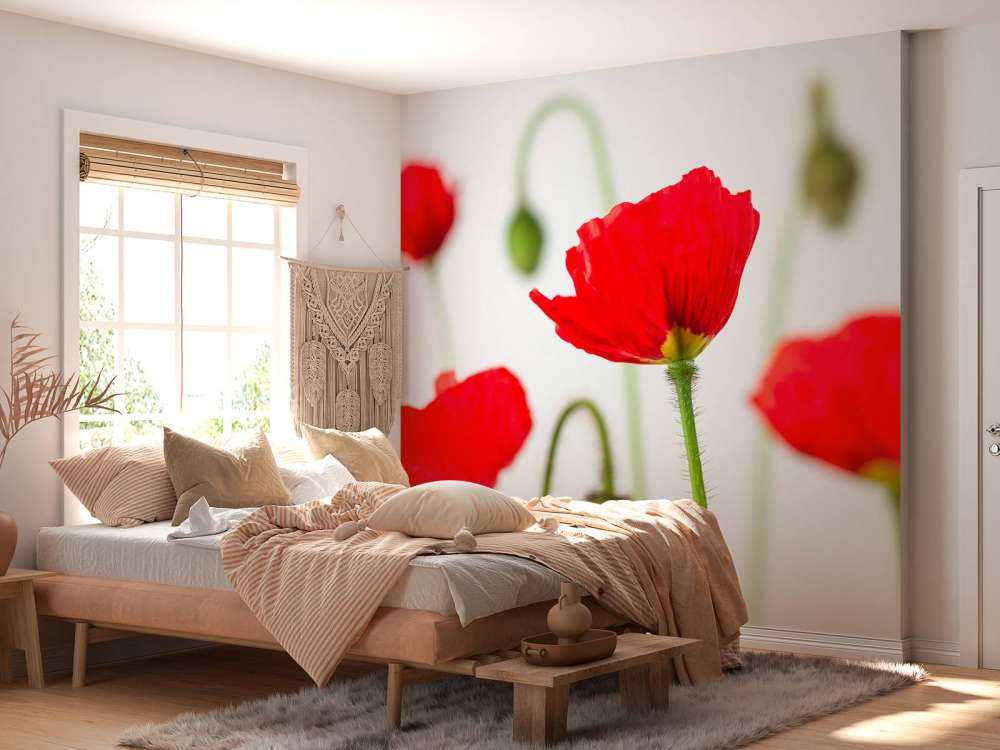 Zbliżenie na czerwone maki