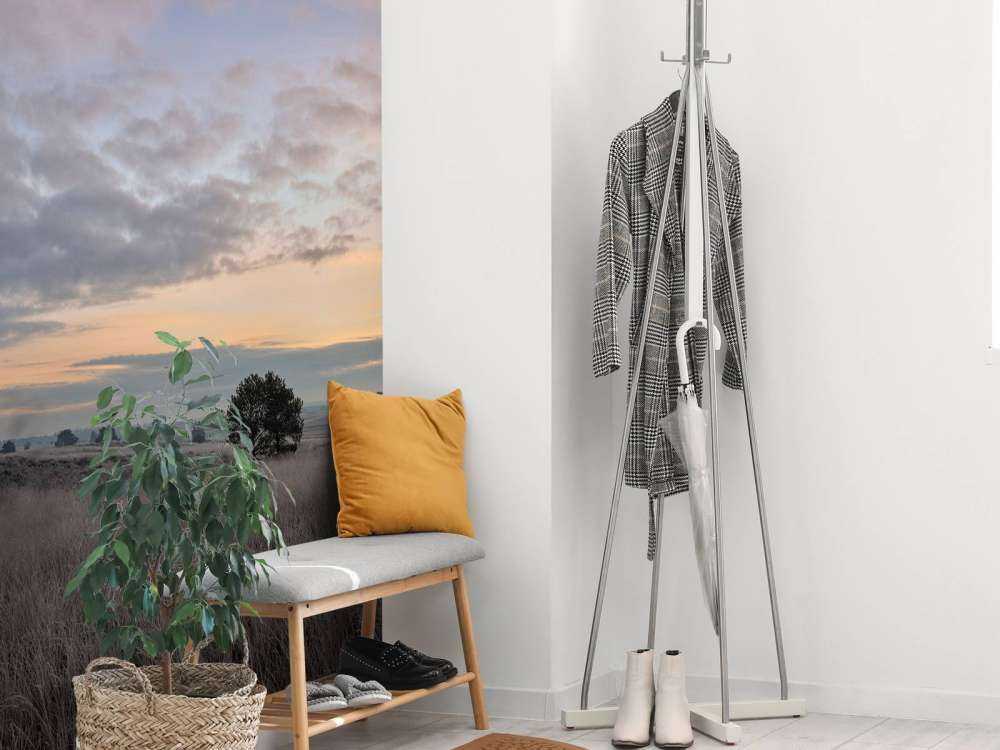 Trawy na wrzosowiskach