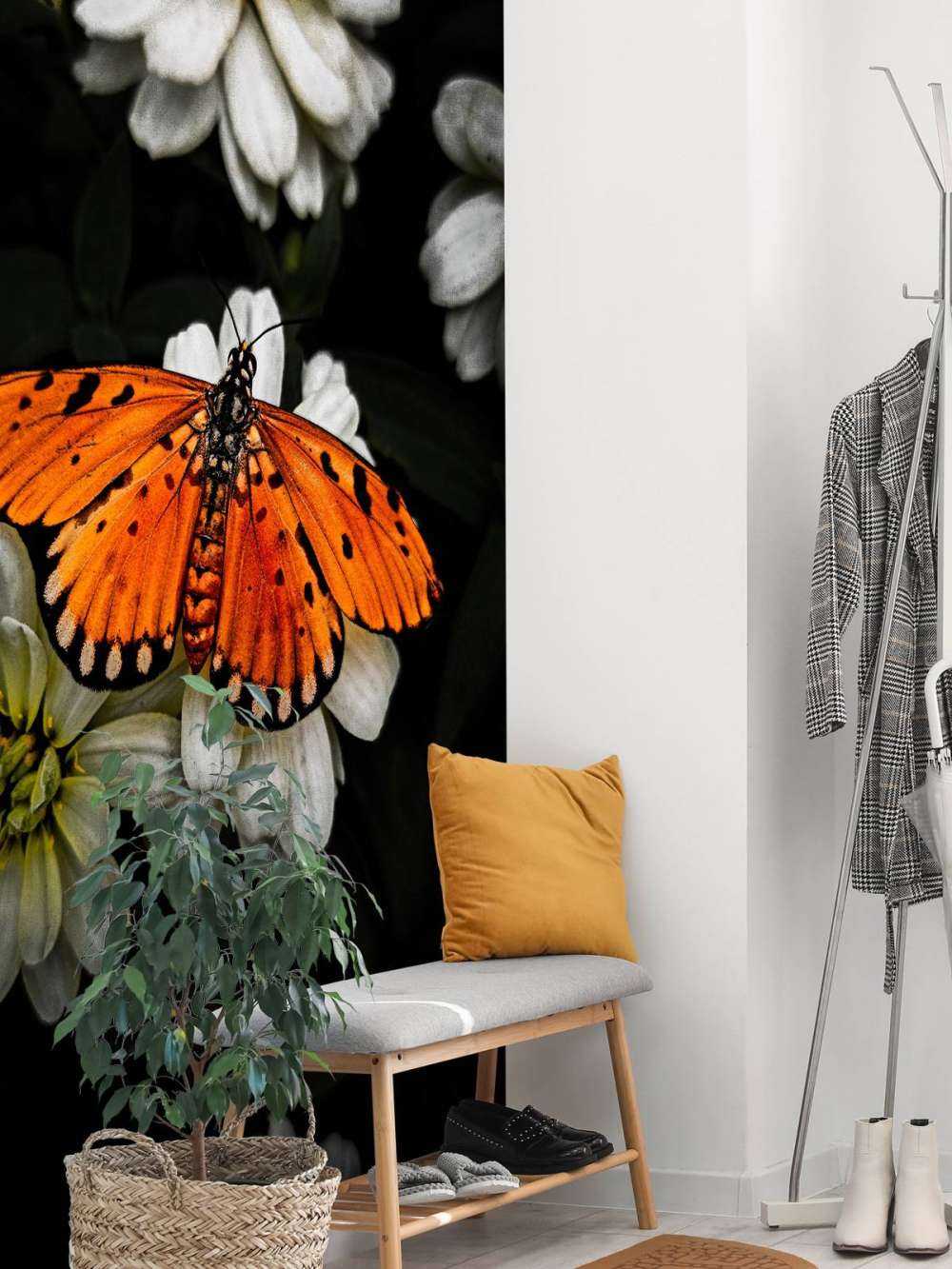 Motyl monarchy na kwiecie