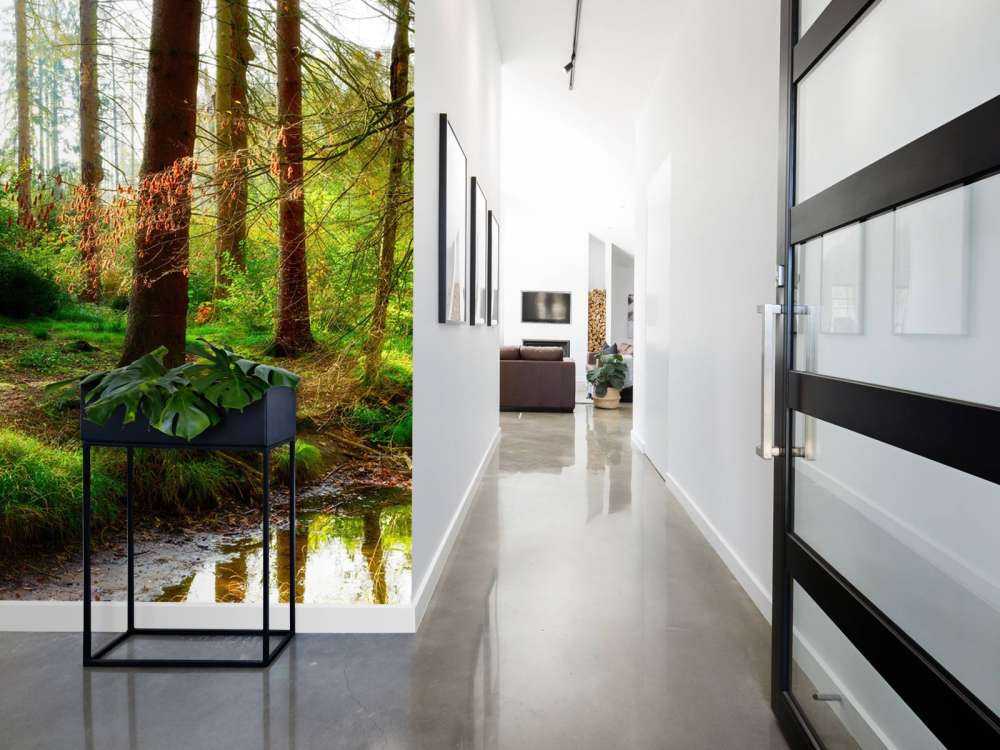 Jesienny las z jasnym światłem słonecznym