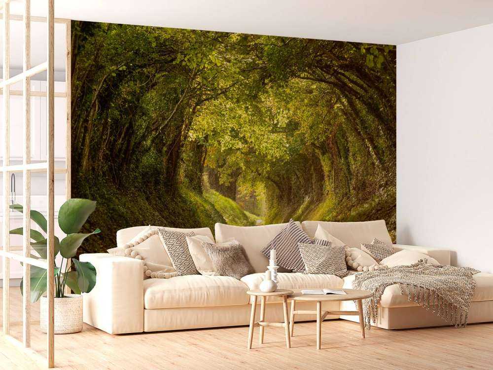 Tunel drzew Halnakera