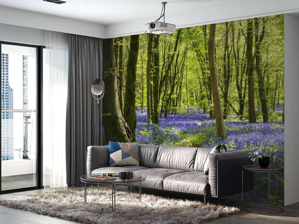 Las w blasku słońca