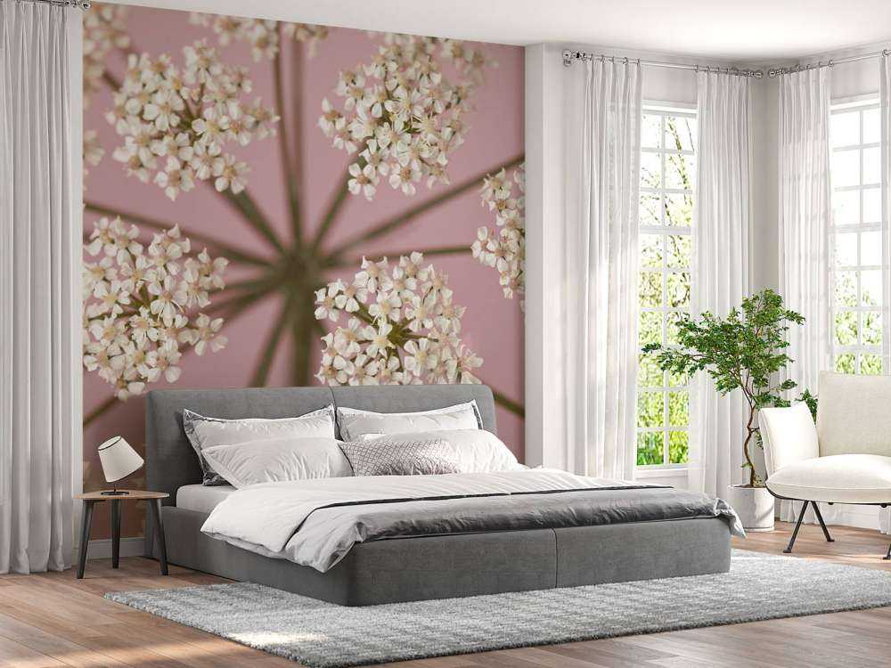 Pietruszka białej krowy