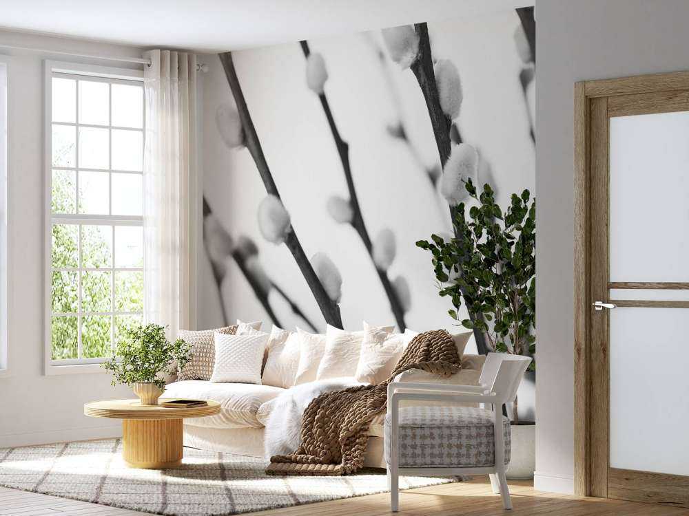 Wierzba leśna w czerni i bieli