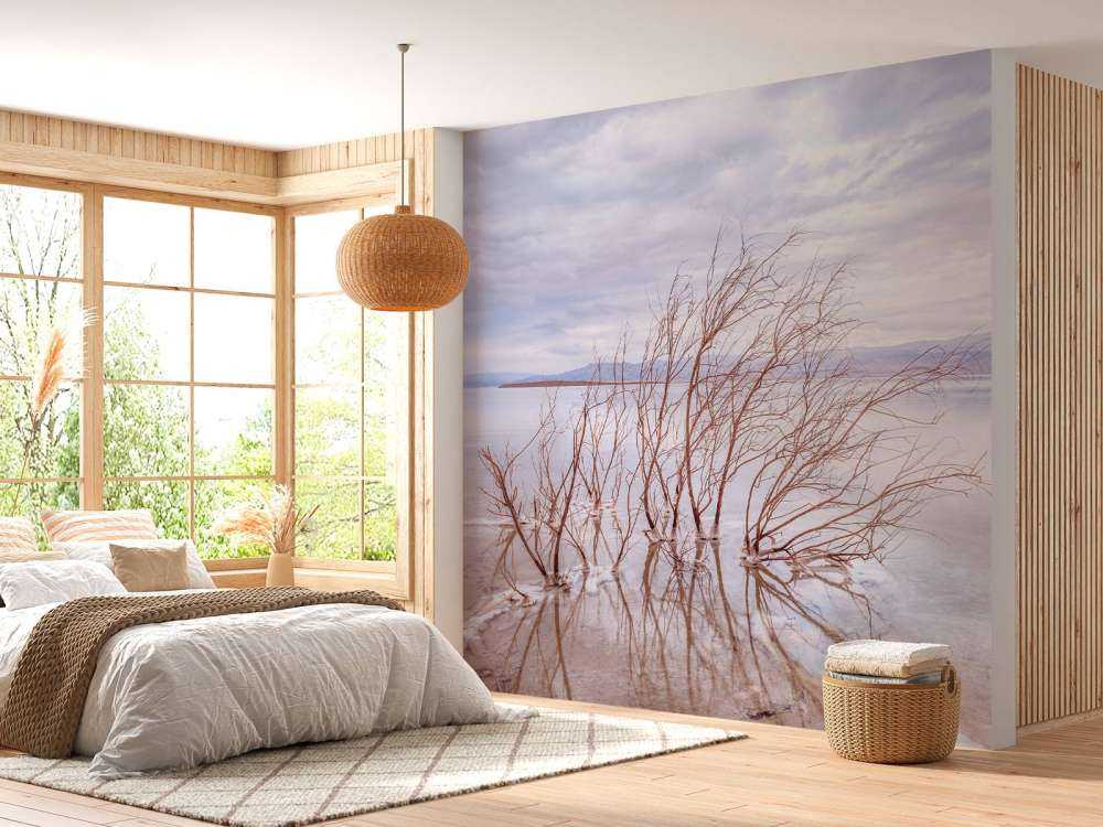 Gałęzie w Morzu Martwym