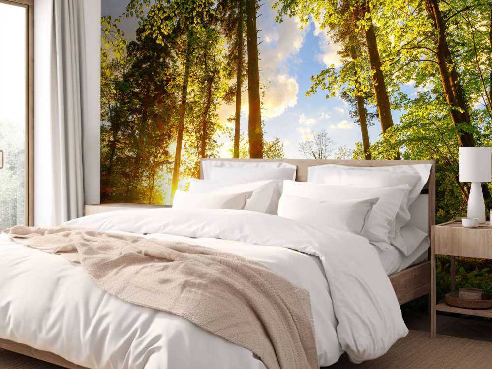 Zachód słońca wśród drzew