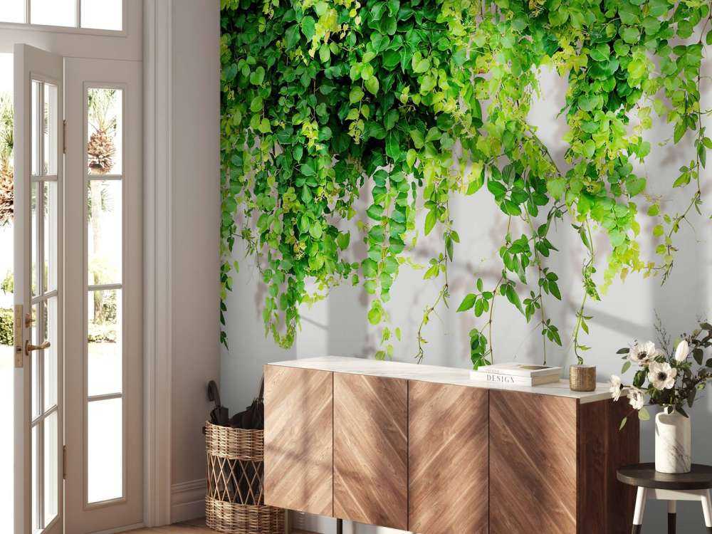 Zielone zwisające gałęzie