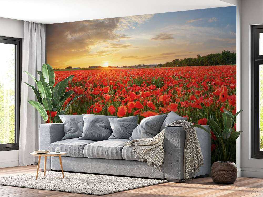 Zachód słońca z makami