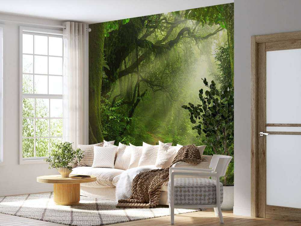 Dżungla z promieniami słońca