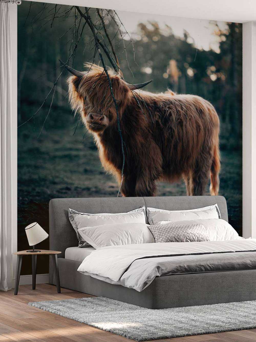 Szkocki wyżyn na skraju lasu