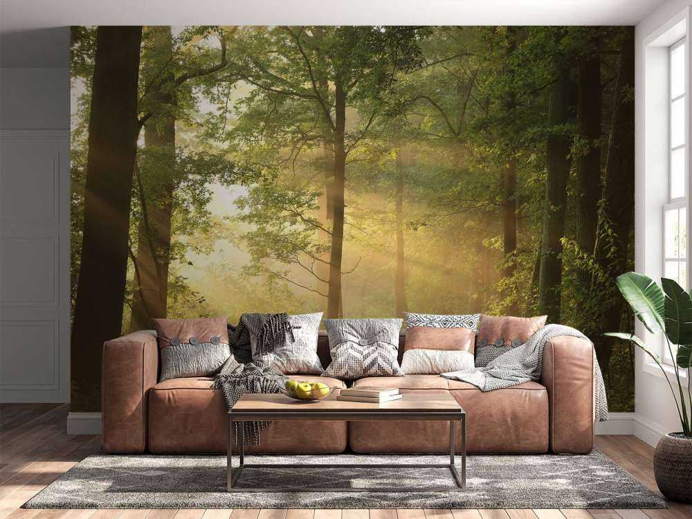 Mglisty wiosenny poranek